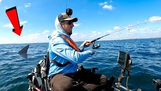 Shark Encounter on the Kayak Fishing in Port Phillip Bay