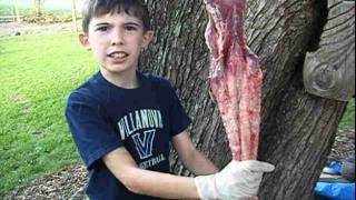 How to Skin a Possum K3 Hunting and Trapping