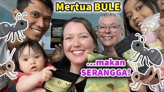 DILUAR DUGAAN! Mertua Bule memberi hadiah SERANGGA AUSTRALIA! Kepada Menantunya!