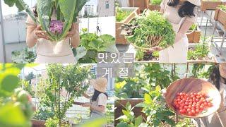 [도시농부 꽃님이] 새 계절을 맞이하는 설레임