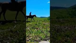 #мудрость #вера #жизнь #психология #бог #рекомендации #стихи #душа