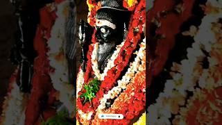 Muniasamy devotion trending reels@jisu all in one channel
