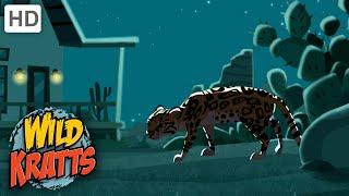 Wild Kratts | Searching For An Ocelot | Animals