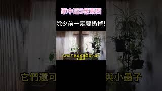 家中這5樣東西，除夕前一定要扔掉！#風水 #傳統文化 #正能量 #紫微斗數