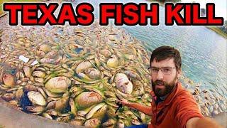 HUGE TEXAS FISHKILL AFTERMATH! (can I catch a living fish?)