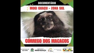 Documentário: "Mogi Guaçu - Zona Sul - Córrego dos Macacos" oficial (2024) SEM LIBRAS