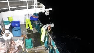 Night ling fishing