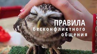 Бесконфликтное общение