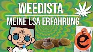 LSA ERFAHRUNGSBERICHT | TripBericht | WEEDISTA