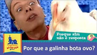 Por que a galinha bota ovo? | Porque sim não é resposta