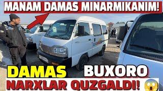 BUXORO MOSHIN BOZOR 03.11.2024/DAMAS NARXLAR JONLANDI!