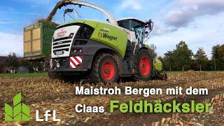 Claas Jaguar 940 für die Körnermaisstrohernte