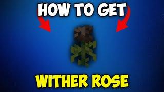 How to Get WITHER ROSE in Minecraft 1.21.3