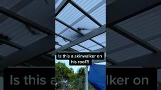 A Skinwalker was on his roof?..#cryptid #scary