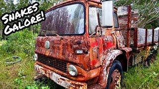 OLD Tip Truck Infested with SNAKES Sitting for 10+ YEARS! Will it START?