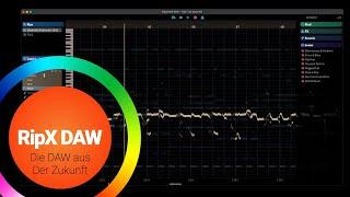 RipX DAW - Die DAW aus der Zukunft