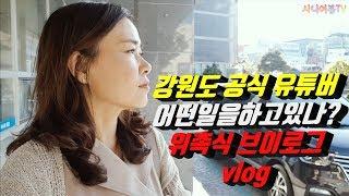 (강원유튜브)50대초보유튜버가 강원도 공식 유튜브크리에이터가 되는 법, 강원 1인 미디어크리에이터는 어떤일을 하고 있나? 강원유튜버 위촉식 브이로그vlog /시니어봄tv