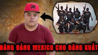 Trùm Băng Đảng Mexico cho Đăng Xuất Các Youtuber Này và Lý Do   |  Ma Thất