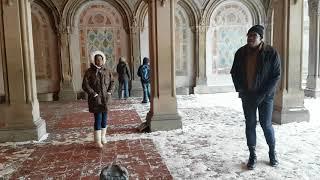 Amazing Singers - Bethesda Fountain and Terrace Central Park NYC