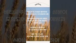 위너스밀 재료편 8️⃣보리는 슈퍼푸드!#위너스밀 #꿀팁 #영양식 #어린이식사대용 #위닝해빗