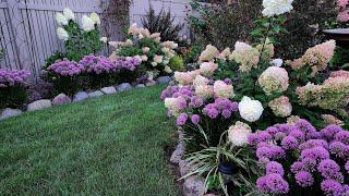 Mid August Walkabout & Garden Tour with Blooms Galore & Drone Views!  🪷