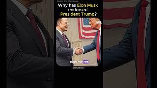 Why did Elon Musk endorse President Trump? #shortsfeed #shorts #USA
