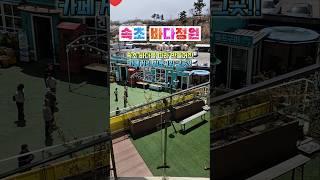 ️ 바다정원 카페, 속초 여행 필수 코스 #속초카페 #바다정원 #속초여행 #바다뷰카페 #속초핫플 #힐링카페 #강원도카페 #감성카페 #뷰맛집