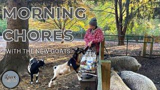 Morning Chores on our Homestead with the New Goats// Learning to drive the RK 25// Laux Family Farm