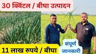 लहसुन की खेती | संपूर्ण जानकारी | garlic farming |