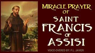 MIRACLE PRAYER OF ST.  FRANCIS OF ASSISI