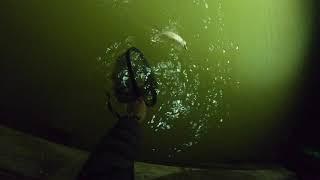 NIGHT Fishing for MASSIVE Speckled Trout and Redfish!!!