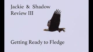They are getting sooo close!!!  Jackie & Shadow Review Part III,