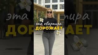 Эта видовая квартира стоила 13 млн всего пару лет назад. Сейчас — 18  #недвижимостьспб #намывспб