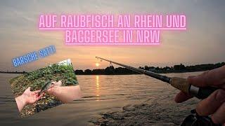 Auf Raubfisch am Rhein und Baggersee - BARSCHE SATT! - Endlich wieder Angeln!