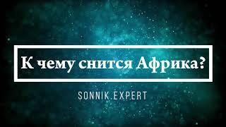 К чему снится Африка - Онлайн Сонник Эксперт