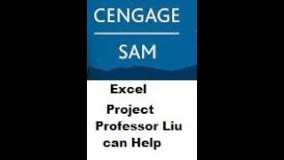 SAM,  EXCEL 21,    Great Midwestern Insurance, Work with formulas and functions, CIT 101