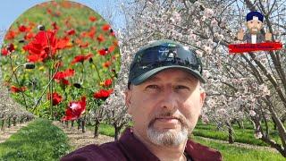 Авербух Герман в прямом эфире