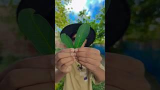 Giant Green Candy ASMR!?@LukeDidThat