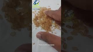 Matta Rice | Geo360 Agro Industries Pvt ltd | Rice-Manufacture | Export | Logistics | Overseas #rice