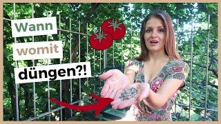 Tomaten richtig düngen!  Nutzt du diese 3 Methoden?