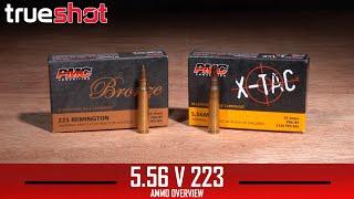 What's the difference? Trueshot 101: 5.56 vs 223 Rem