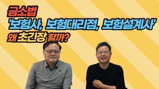 금융소비자보호법 제대로알기① 금융소비자보호법, 판매책임 '보험사ㆍ보험대리점ㆍ보험설계사' 까지 확대적용