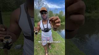 Easiest way to catch GIANT Bluegill!!!