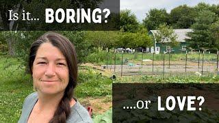 Hate Laundry? Weeding? You are Doing the Important Work| Homestead VLOG