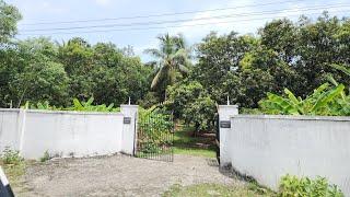 Ad:175 -( Sold out )Farmland for sale in Edaikazhinadu ECR | 60 cents |