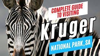 KRUGER NATIONAL PARK Travel Guide, South Africa | Tour Guide Interview | Plan Your Visit