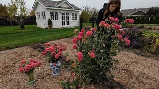 Digging Dahlias + Harvesting Statice & Acorn Squash!  // Garden Answer