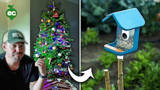 Don't Throw Your Christmas Tree Away (Do This Instead)