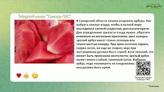 Telegram-канал "Самара-ГИС": быстрые новости