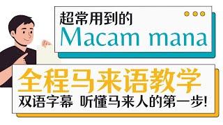 【 双语字幕 】超常用到的 Macam mana ｜ 马来语口语